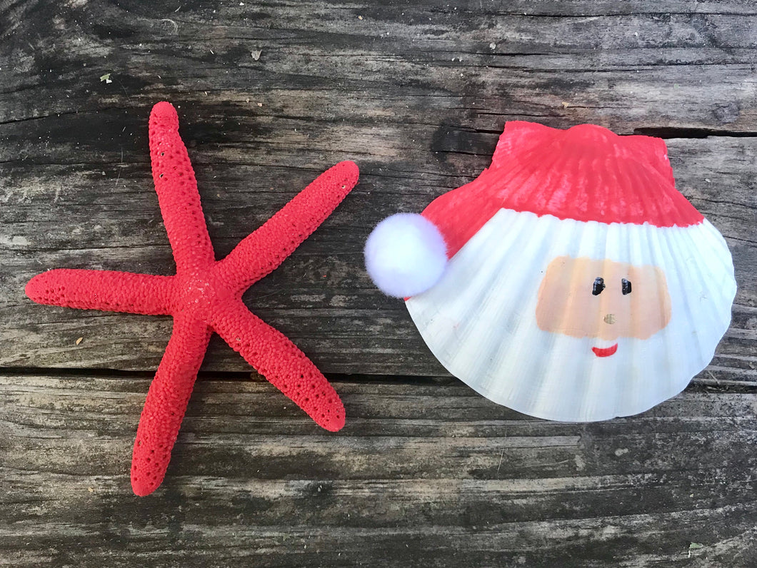 Santa Sea Shell, Starfish Sea Shells, Christmas at the Beach, Coastal Christmas, Santa Claus Seashells
