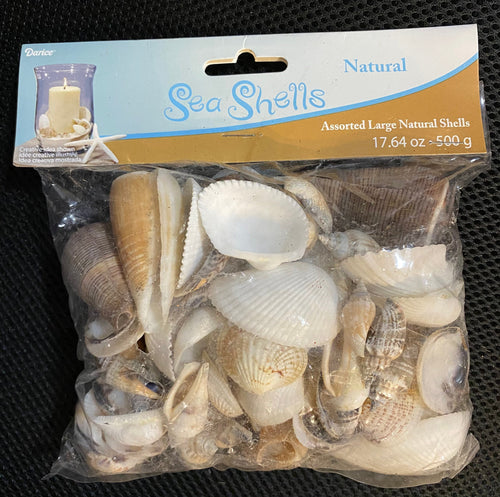 Large Assorted Natural Shells, Beach Craft Supplies